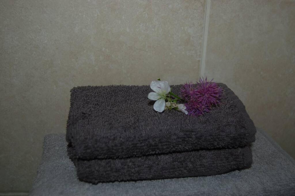 Creag Mhor Self Catering Holiday Apartment Aberfoyle  Kültér fotó